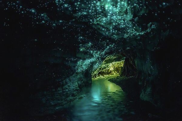 Пещеры светлячков Вайтомо на Северном острове Новой Зеландии - Sputnik Кыргызстан