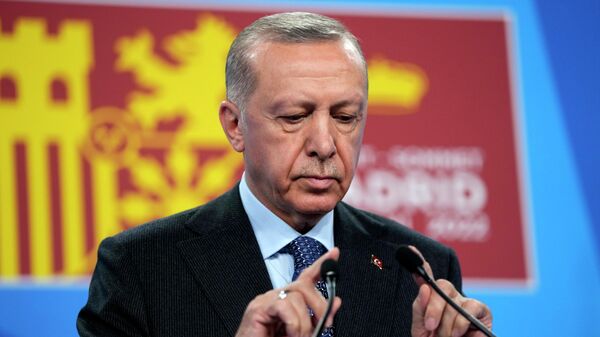 Президент Турции Реджеп Тайип Эрдоган - Sputnik Кыргызстан