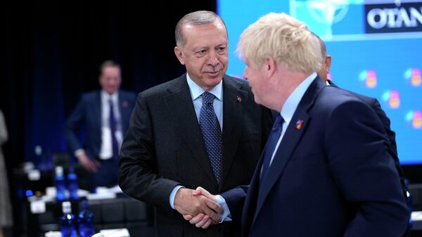Президент Турции Реджеп Тайип Эрдоган и премьер-министр Великобритании Борис Джонсон на саммите НАТО в Мадриде - Sputnik Кыргызстан