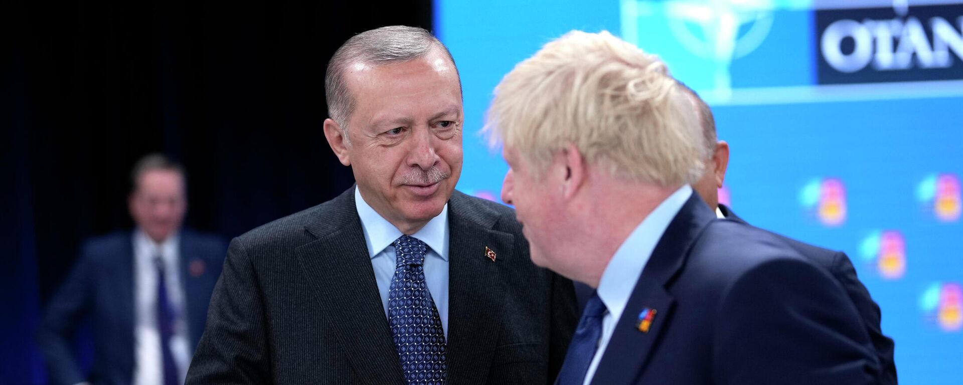 Президент Турции Реджеп Тайип Эрдоган и премьер-министр Великобритании Борис Джонсон на саммите НАТО в Мадриде - Sputnik Кыргызстан, 1920, 30.06.2022