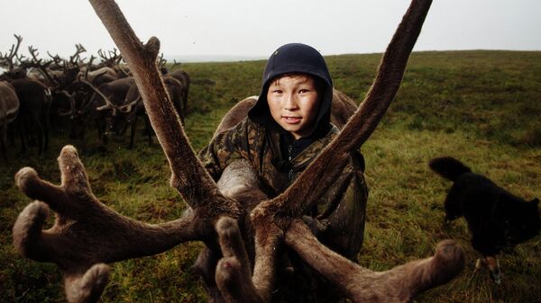 Фотографии представленные на фотоконкурсе имени Андрея Стенина - Sputnik Кыргызстан
