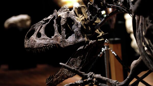 Скелет динозавра. Архивное фото - Sputnik Кыргызстан