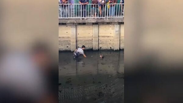 Мертвый мужчина в канале напугал жителей Бангкока — видео курьеза - Sputnik Кыргызстан