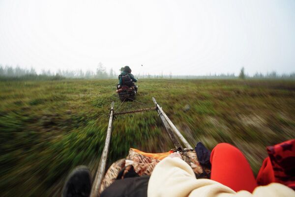 Фото из серии &quot;Дети Арктики&quot; российского фотографа Артема Оноприенко - Sputnik Кыргызстан