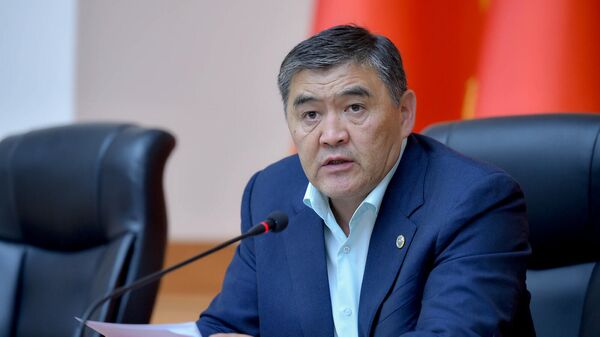 Министрлер Кабинетинин Төрагасынын орун басары бир катар курулуш компаниялардын жетекчилери менен жолугушту - Sputnik Кыргызстан