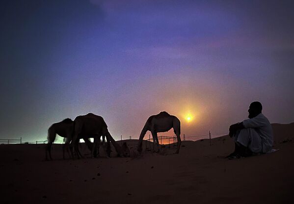 Погонщик верблюдов во время Суперлуния в пустыне Дубая (ОАЭ) - Sputnik Кыргызстан