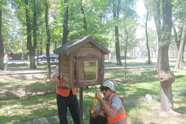 На проспекте Молодой Гвардии в Бишкеке установили шкафы для дружеского обмена книгами - Sputnik Кыргызстан