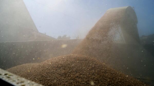 Обработка зерна, собранного с полей. Архивное фото - Sputnik Кыргызстан