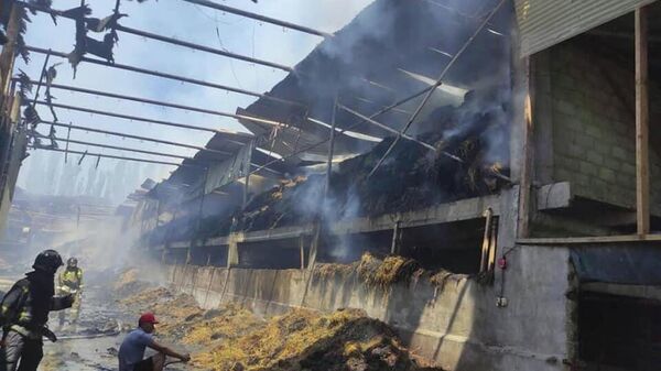 Пожар на ферме в селе Пригородное  - Sputnik Кыргызстан