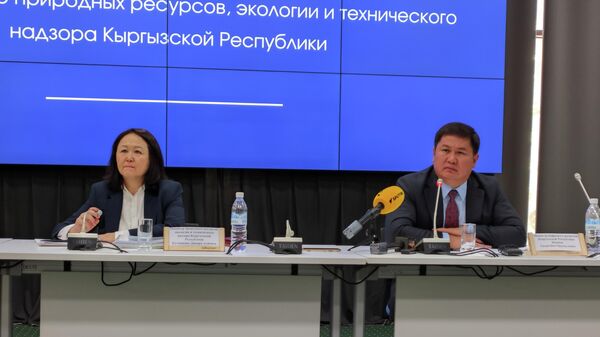 Жаратылыш ресурстары, экология жана техникалык көзөмөл министри Динара Кутманова - Sputnik Кыргызстан