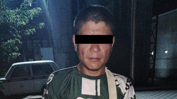 Задержание мужчины накинувшегося с ножом в общественном транспорте в селе Аламудун - Sputnik Кыргызстан