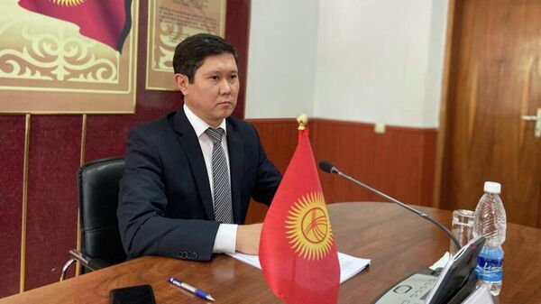 И. о. министра здравоохранения Жакрынбек Касымбеков  - Sputnik Кыргызстан