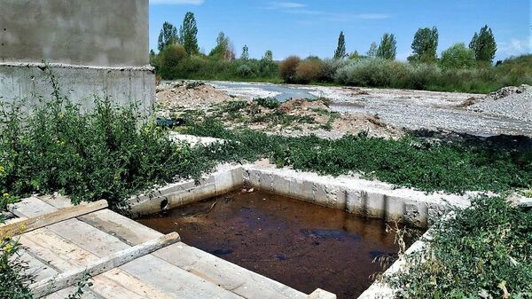 В Джеты-Огузском районе выявили скотобойню, отходы которой попадали в Иссык-Куль - Sputnik Кыргызстан