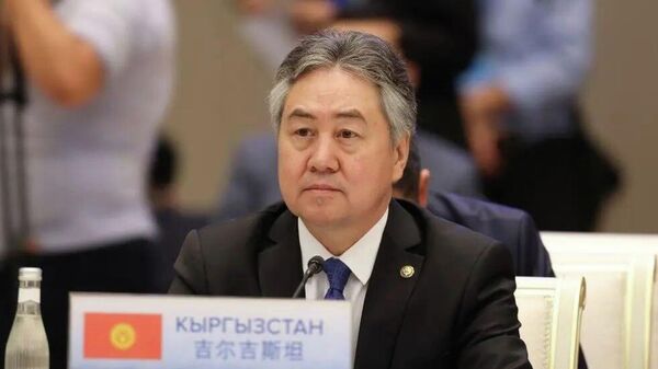 Тышкы иштер министри Жээнбек Кулубаев  - Sputnik Кыргызстан