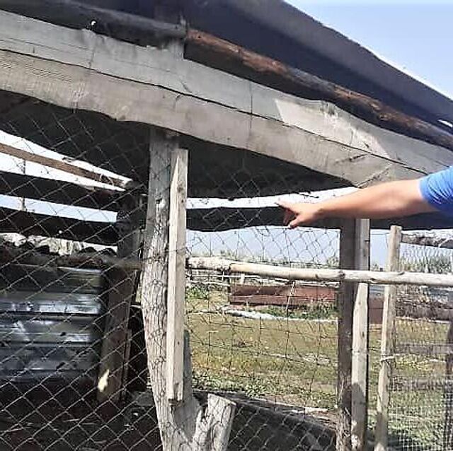 Нижний Новгородтағы эскорт салоны Әйелдер порно видеода кискаларын жақыннан көрсетеді