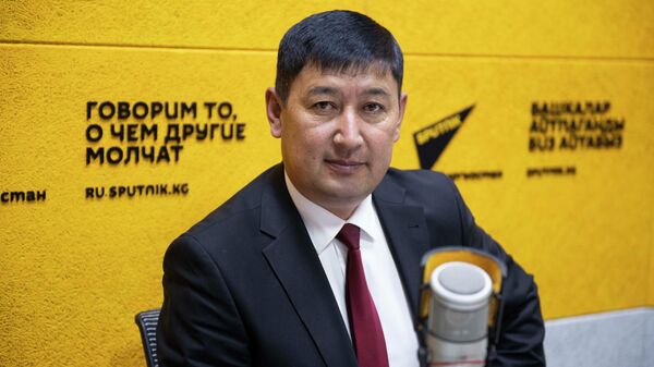Мамлекеттик кызмат жана өз алдынча башкаруу агенттигинин директору Элчибек Жантаев  - Sputnik Кыргызстан