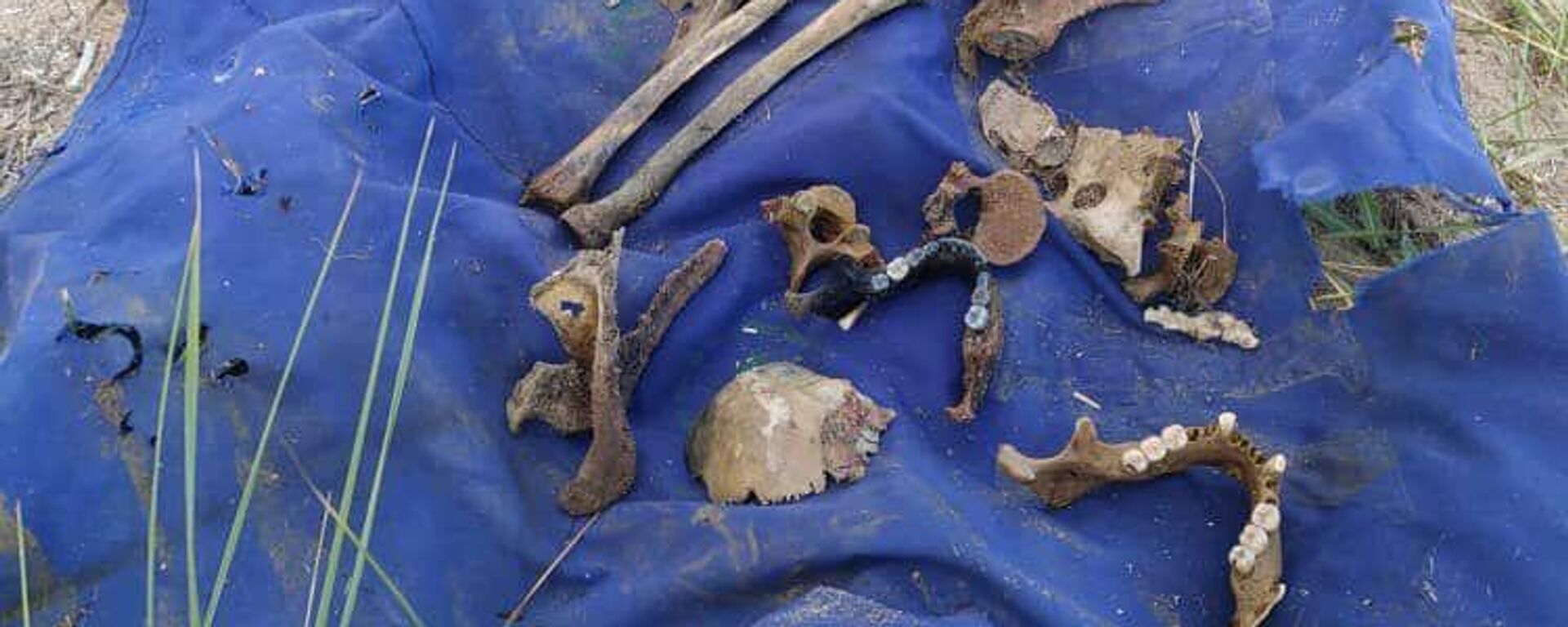 Человеческие останки обнаруженные на озере Иссык-Куль во время поисков тела  четырехлетней девочки - Sputnik Кыргызстан, 1920, 03.08.2022
