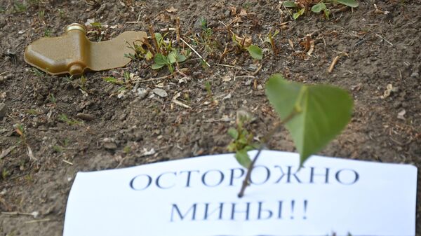 Противопехотная фугасная мина (ПФМ-1) Лепесток на центральной улице Донецка - Sputnik Кыргызстан