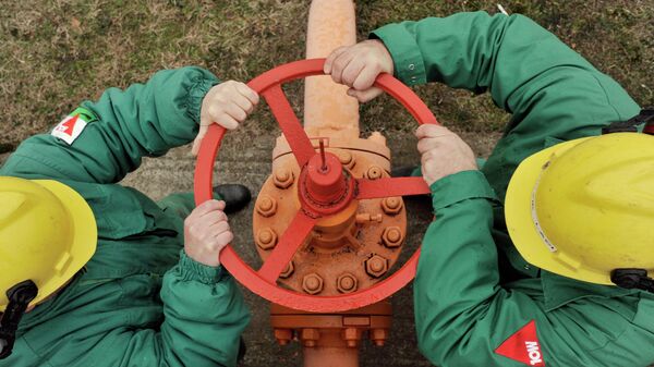 Венгрияда жаратылыш газын ташуу иштери - Sputnik Кыргызстан