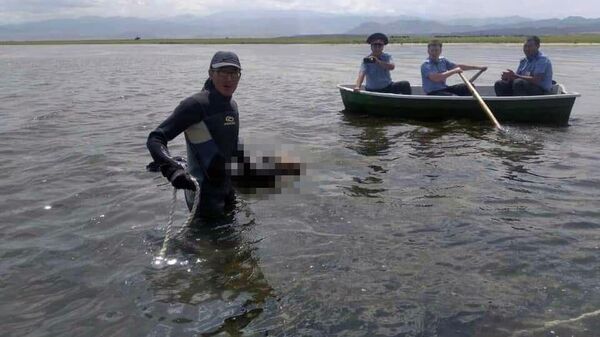 Поиски четырехлетней девочки, утонувшей в озере в Балыкчи - Sputnik Кыргызстан