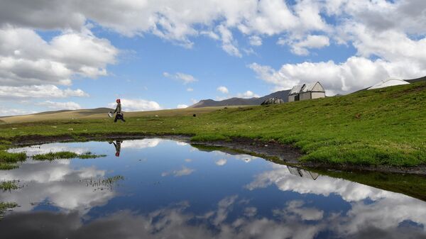 Джайлоо в Суусамырской долине. Архивное фото - Sputnik Кыргызстан