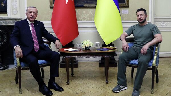 Встреча президента Турции Реджепа Тайипа Эрдогана и президента Украины Владимира Зеленского - Sputnik Кыргызстан