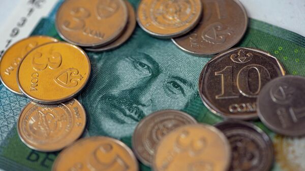 Сомовые купюры и монеты. Иллюстративное фото - Sputnik Кыргызстан