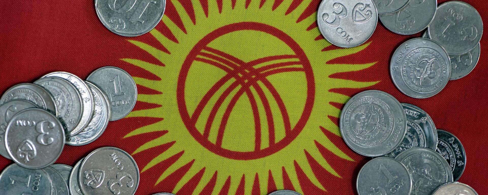 Сомовые монеты на фоне флага КР. Иллюстративное фото - Sputnik Кыргызстан, 1920, 10.11.2022