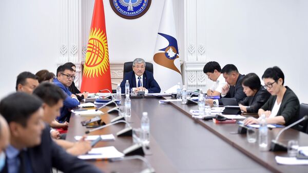 Заседание Совета Евразийской экономической комиссии в режиме видеоконференции - Sputnik Кыргызстан