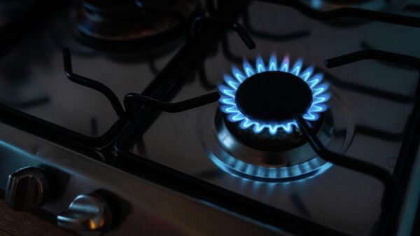 Пламя на кухонной газовой плите. Архивное фото - Sputnik Кыргызстан
