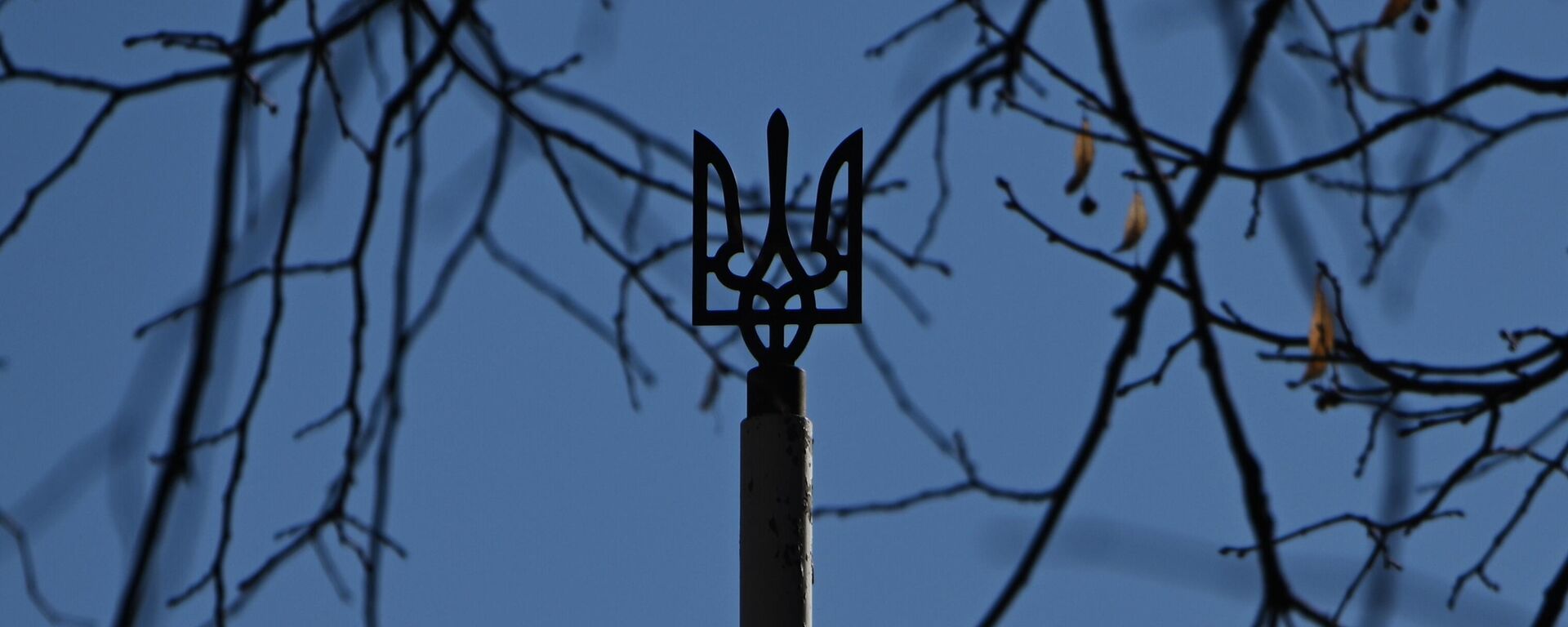 Украина герби. Архив - Sputnik Кыргызстан, 1920, 17.11.2025