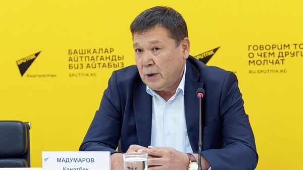 Директор Департамента драгоценных металлов Министерства финансов Канатбек Мадумаров - Sputnik Кыргызстан