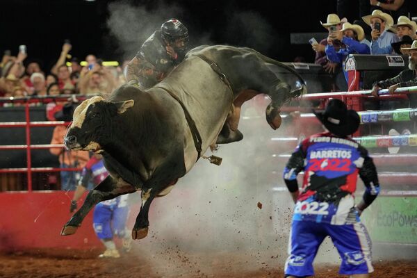 Всадник падает с быка во время соревнований по верховой езде на международном фестивале Barretos Rodeo в штате Сан-Паулу (Бразилия) - Sputnik Кыргызстан