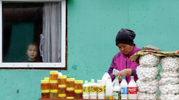Кочевники продают молочную продукцию и мед в Суусамырской долине - Sputnik Кыргызстан