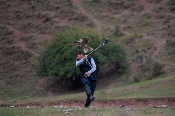 Охотник демонстрирует ловкость своего сокола - Sputnik Кыргызстан