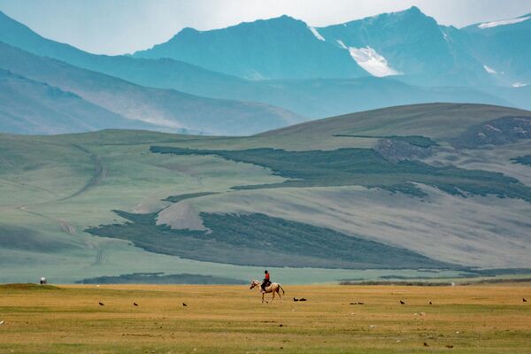 Летом Суусамырская долина похожа на зеленое море - Sputnik Кыргызстан