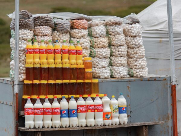 Они перерабатывают молоко — делают кумыс, айран, каймак, курут и другие продукты для продажи - Sputnik Кыргызстан