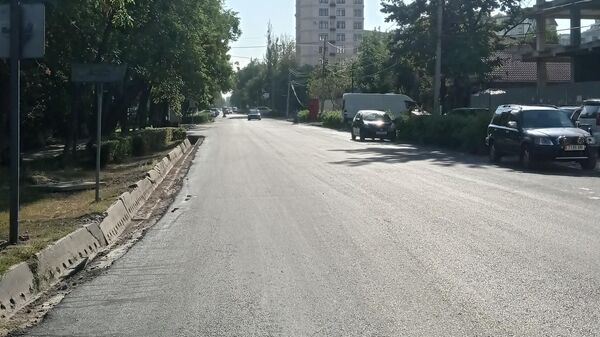 В Бишкеке открыли отрезок улицы Боконбаева от Орозбекова до Панфилова - Sputnik Кыргызстан