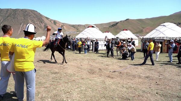 Скачки лучших лошадей под Бишкеком — видео - Sputnik Кыргызстан