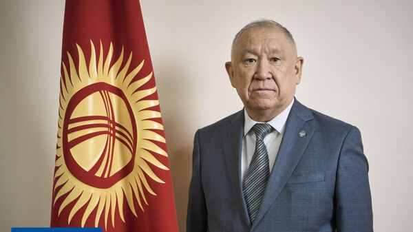 Председатель правления ОАО Кыргызалтын Жарасул Абдураимов - Sputnik Кыргызстан