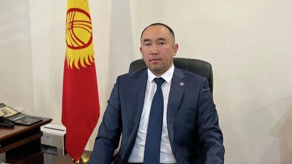 Председатель правления ОАО Кыргызалтын Эльдияр Калдарбеков - Sputnik Кыргызстан