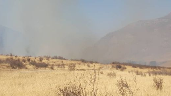 Пожар на поле в местности Булак-Башы - Sputnik Кыргызстан