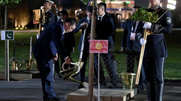Президент Садыр Жапаров принял участие в посадке деревьев в туристическом комплексе Шелковый путь Самарканд - Sputnik Кыргызстан
