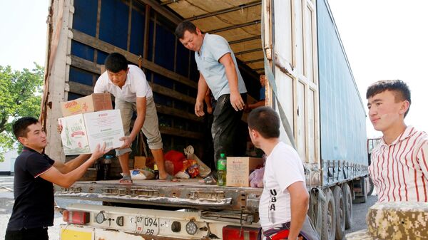 Боз-Адыр айылындагы качкындар үчүн гуманитардык жардамды түшүрүү - Sputnik Кыргызстан