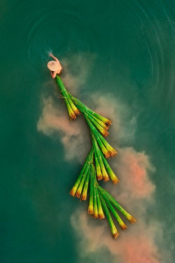 Снимок &quot;Сбор травы банг&quot; вьетнамского фотографа Хуу Бинь Нгуена - Sputnik Кыргызстан