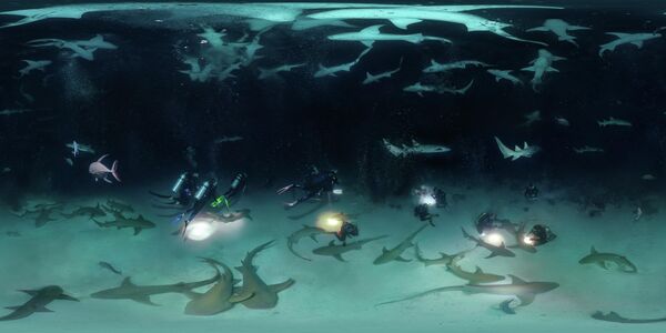 Фотография &quot;Ночной дайвинг с 100 акулами-няньками&quot; россиянина Олега Гапонюка - Sputnik Кыргызстан