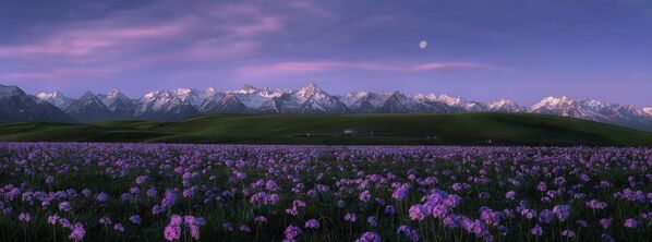 Кадр &quot;Фиолетовый мир&quot; китайского фотографа Цзиньи Хэ - Sputnik Кыргызстан