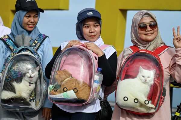 Индонезийки с домашними котами во время кампании по защите животных в преддверии празднования Всемирного дня животных в Банда-Ачех - Sputnik Кыргызстан