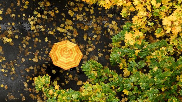 Женщина укрывается от дождя под зонтом. Архивное фото - Sputnik Кыргызстан