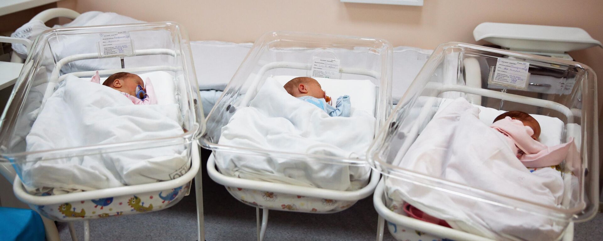 Новорожденные в родильном отделение больницы. Архивное фото - Sputnik Кыргызстан, 1920, 25.08.2023